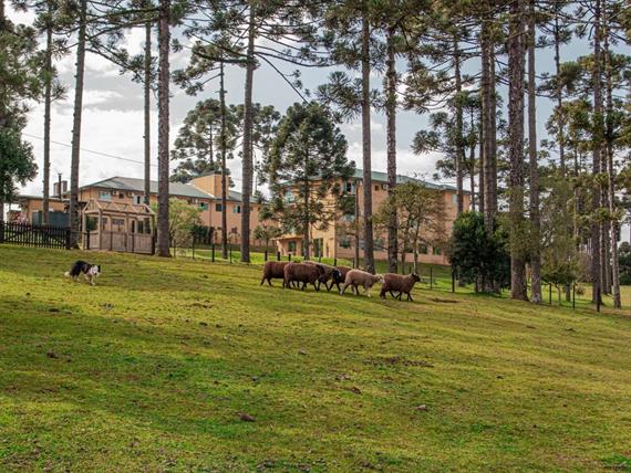 dsc06073 grande.jpeg