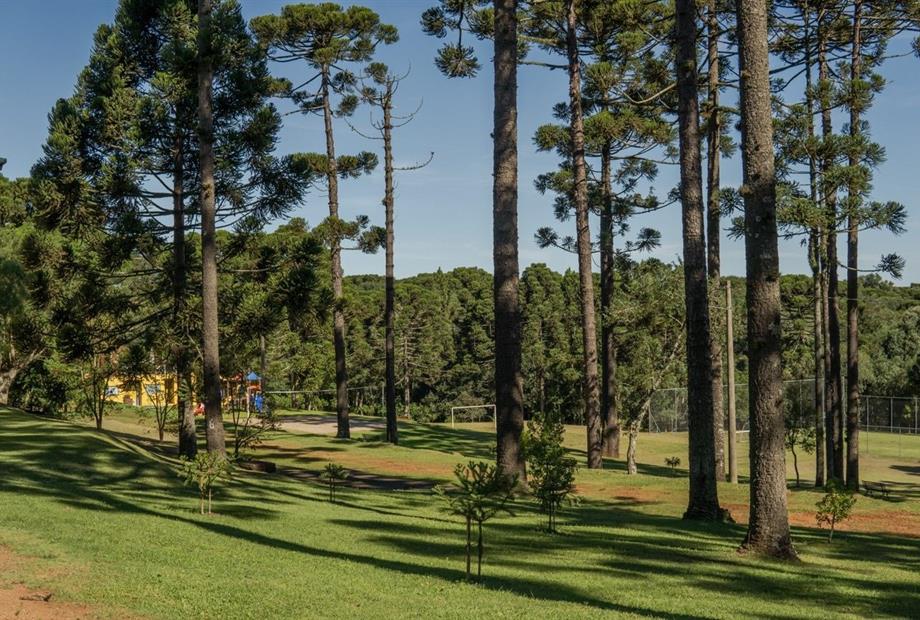 dsc06339 grande.jpeg