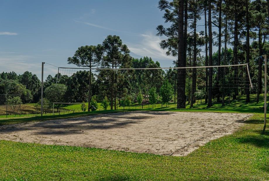 dsc06257 grande.jpeg