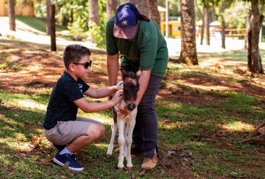 img_8831 grande.jpeg