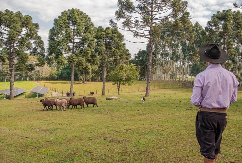 dsc06040 grande.jpeg