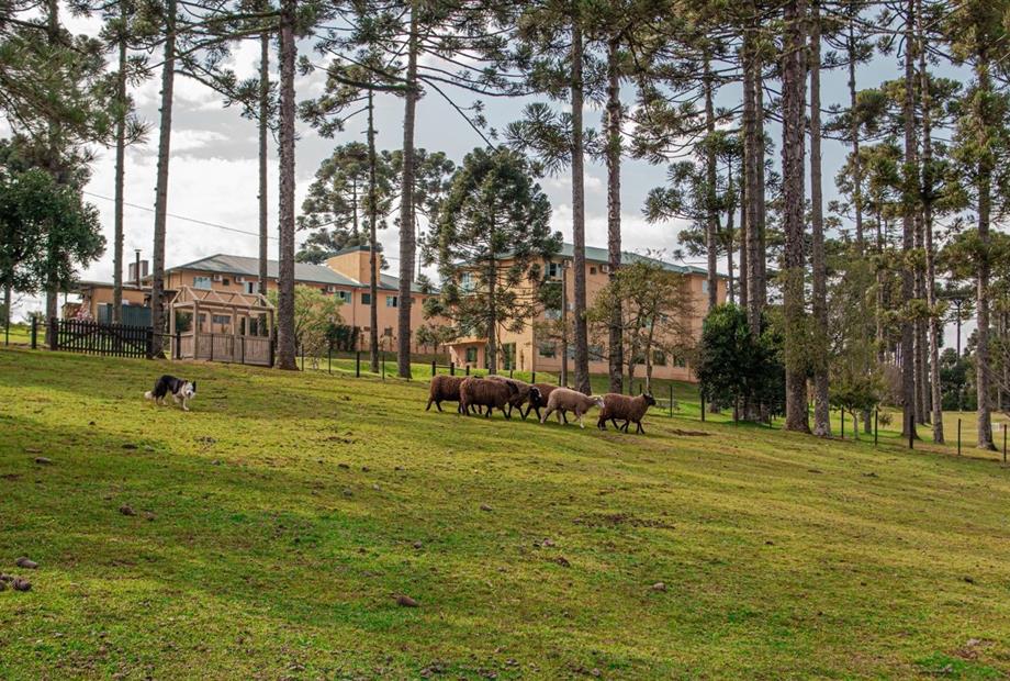 dsc06073 grande.jpeg