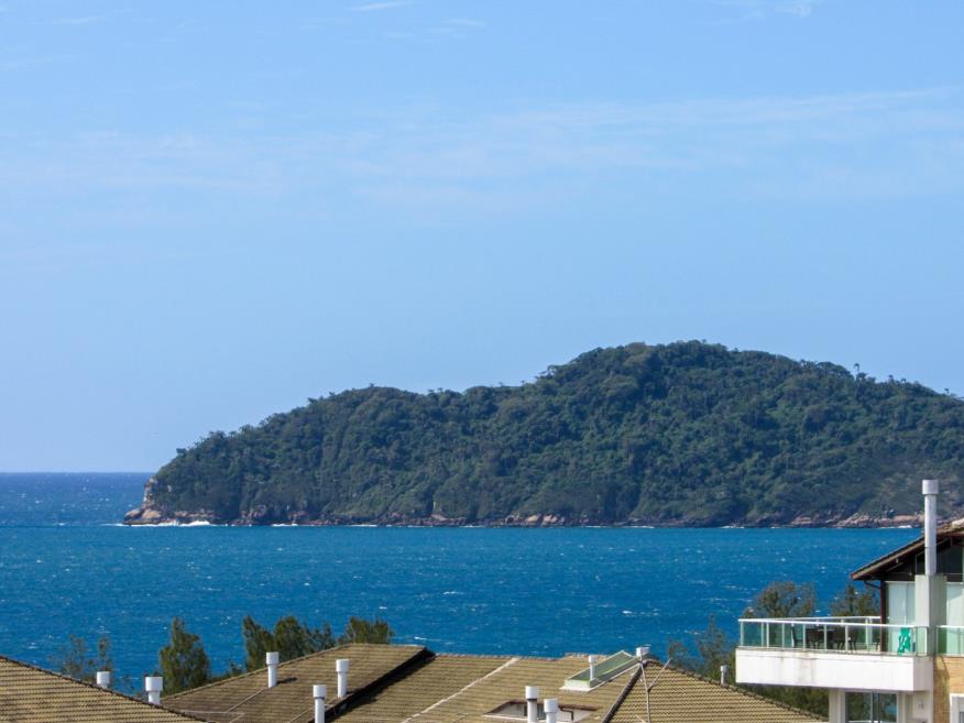 img_1800.jpg