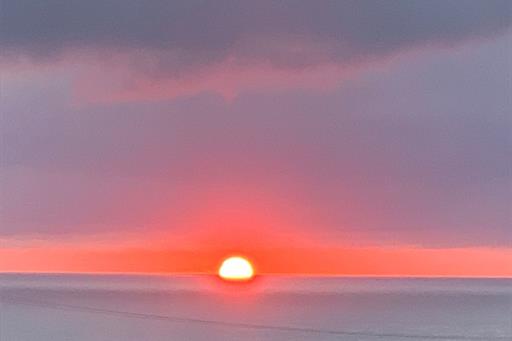 whatsapp image 2026-03-20 at 10.11.09.jpeg