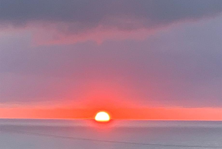 whatsapp image 2026-03-20 at 10.11.09.jpeg