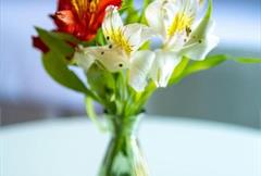 Super Luxo Duplo Casal Frente