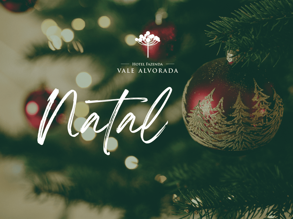 Pacote especial de Natal