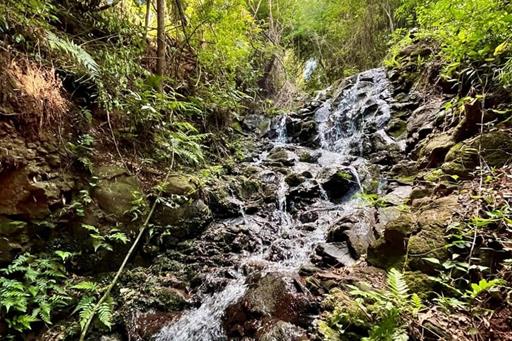cachoeira encantanda2.jpg