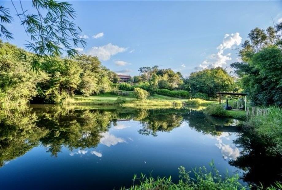 lago pedalinho.jpeg