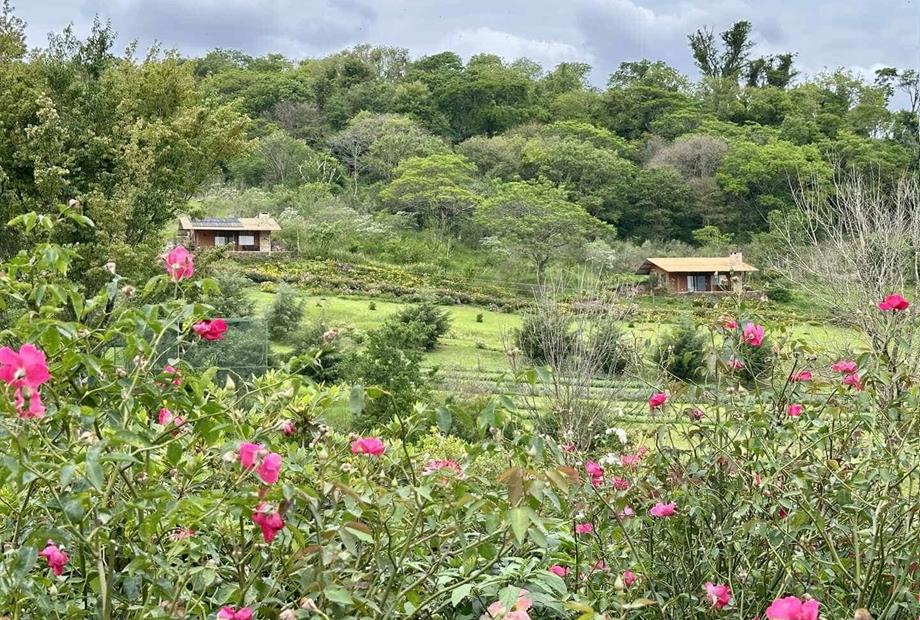 hotel fazenda casa do morro.jpg