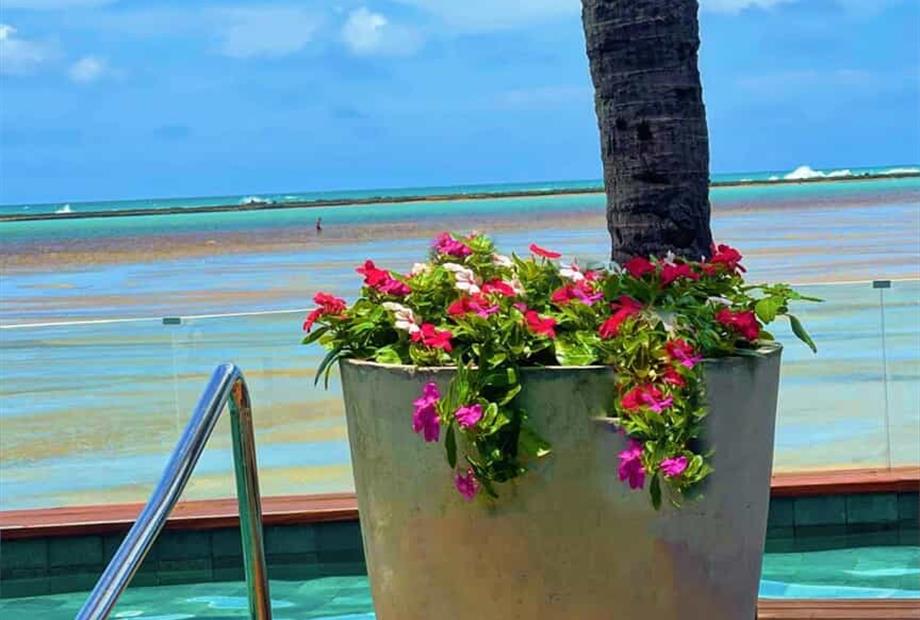 whatsapp image 2025-09-09 at 16.46.51 (3).jpeg