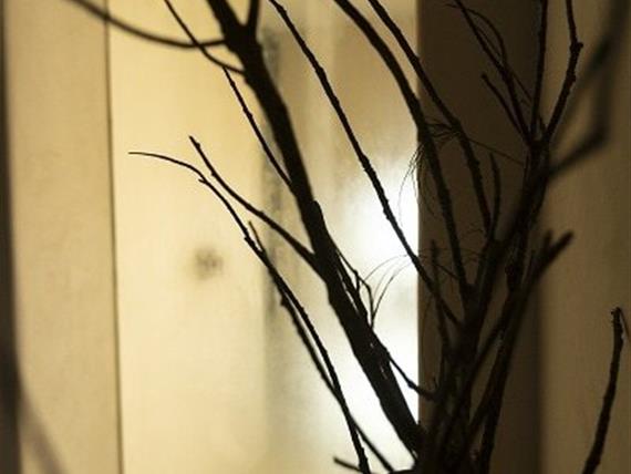 img_9868.jpg