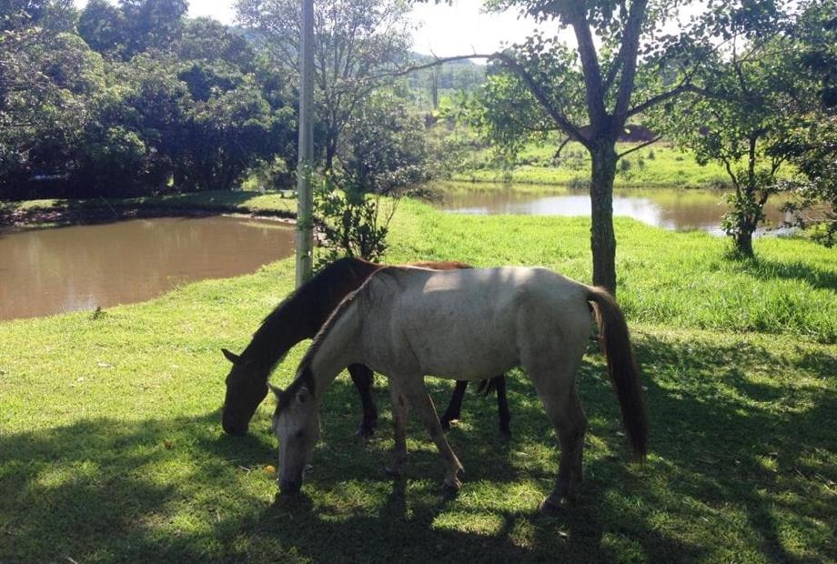 Quarto Quádruplo com Varanda-16.jpg