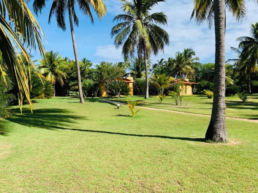 jardim 2.jpg