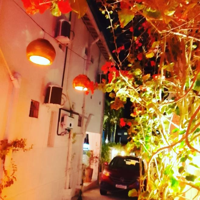 um espaço para contemplar as luzes do jardim.jpeg