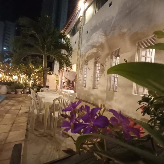 jardim e belas flores.jpeg