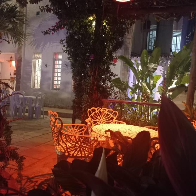jardim.jpeg