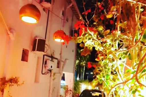 um espaço para contemplar as luzes do jardim.jpeg