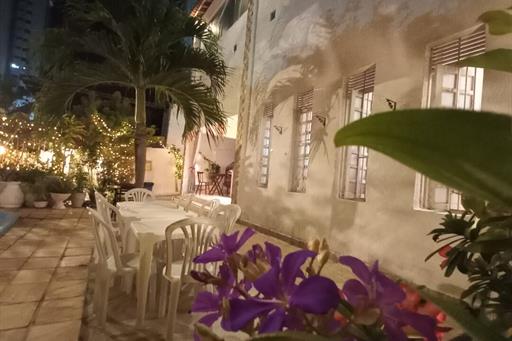 jardim e belas flores.jpeg