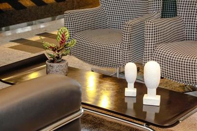 sect - recepção (8).jpg