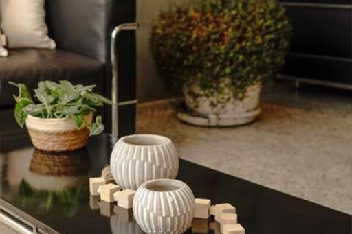 sect - recepção (14).jpg