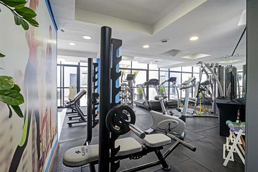 sect - academia (6).jpg