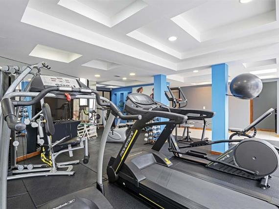 sect - academia (4).jpg