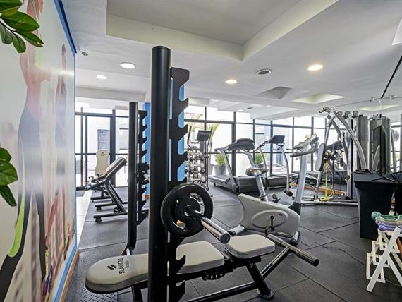 sect - academia (6).jpg