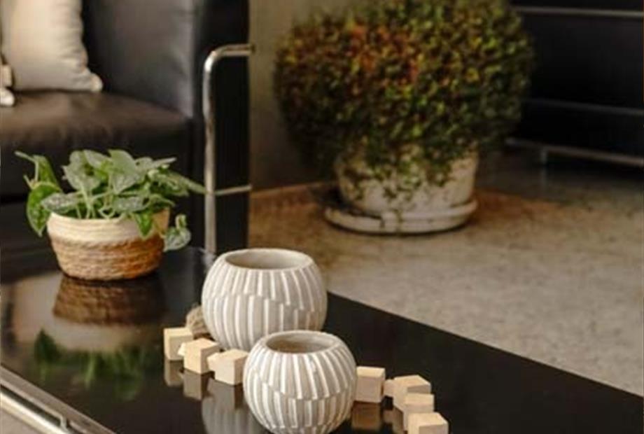 sect - recepção (14).jpg