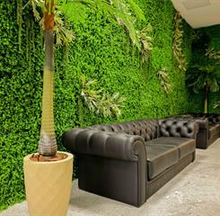 recepção - sofá.jpg