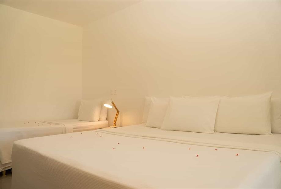 dsc02257 - copia.jpg