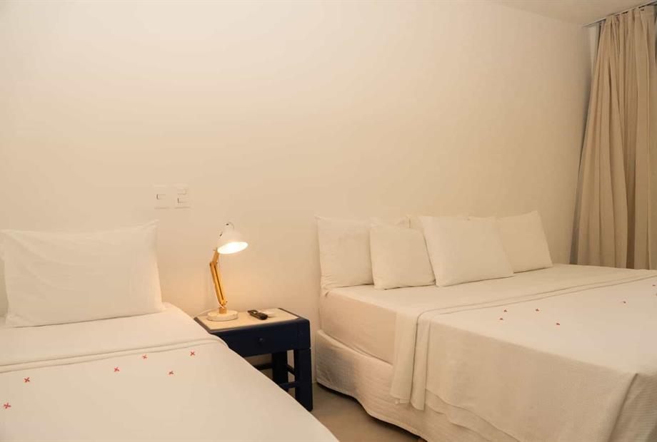 dsc02259 - copia.jpg