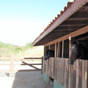 fazendinha_08-300x300.jpg