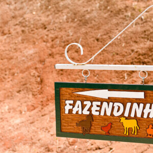 fazendinha_02-300x300.jpg