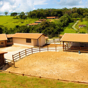 fazendinha_01-300x300.jpg