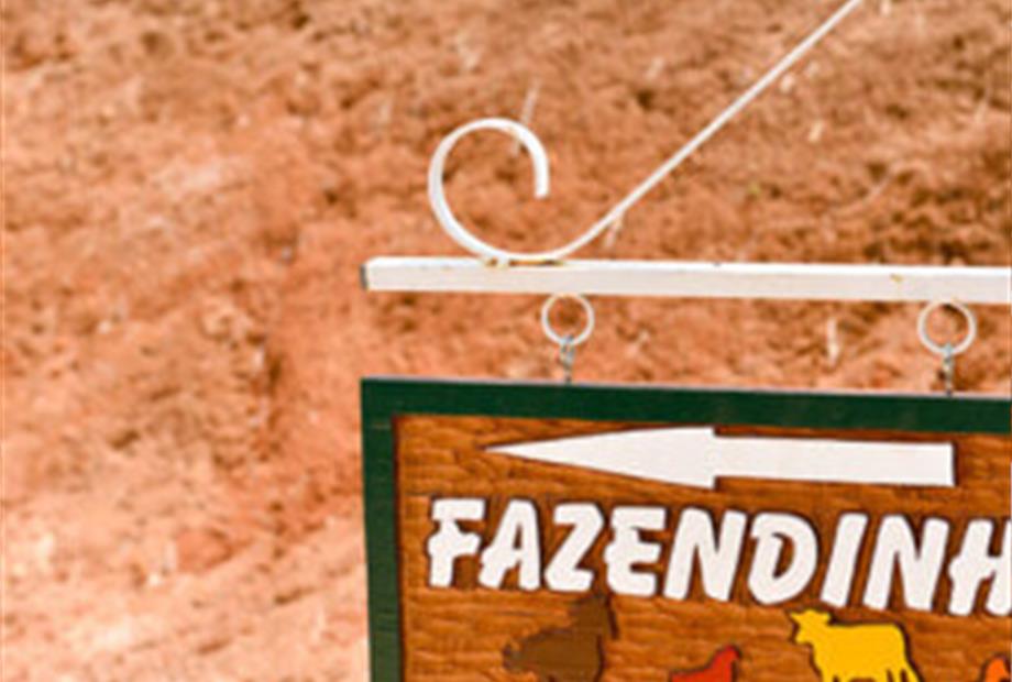 fazendinha_02-300x300.jpg