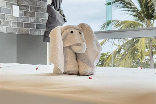 img_7593 grande.jpeg