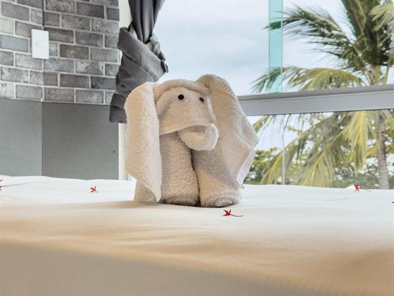 img_7593 grande.jpeg