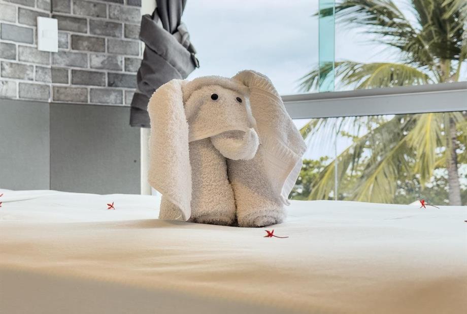 img_7593 grande.jpeg