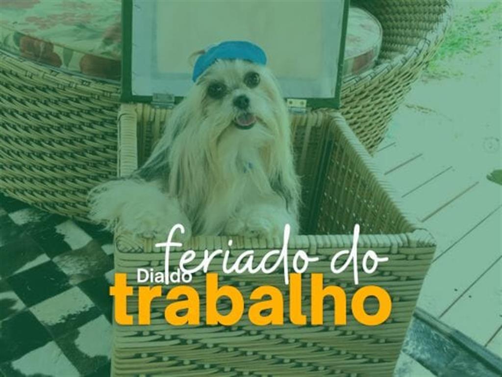 Feriado Dia Do Trabalho
