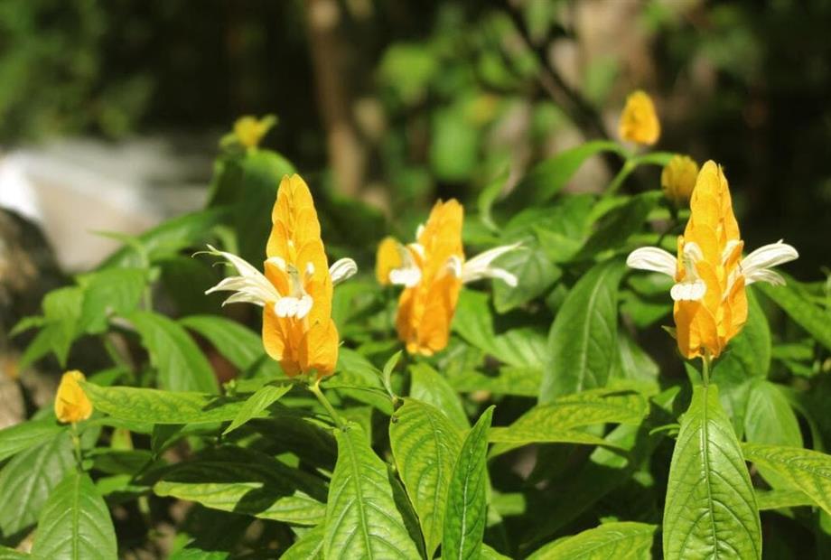 Quarto com 2 Camas de Solteiro-6.jpg