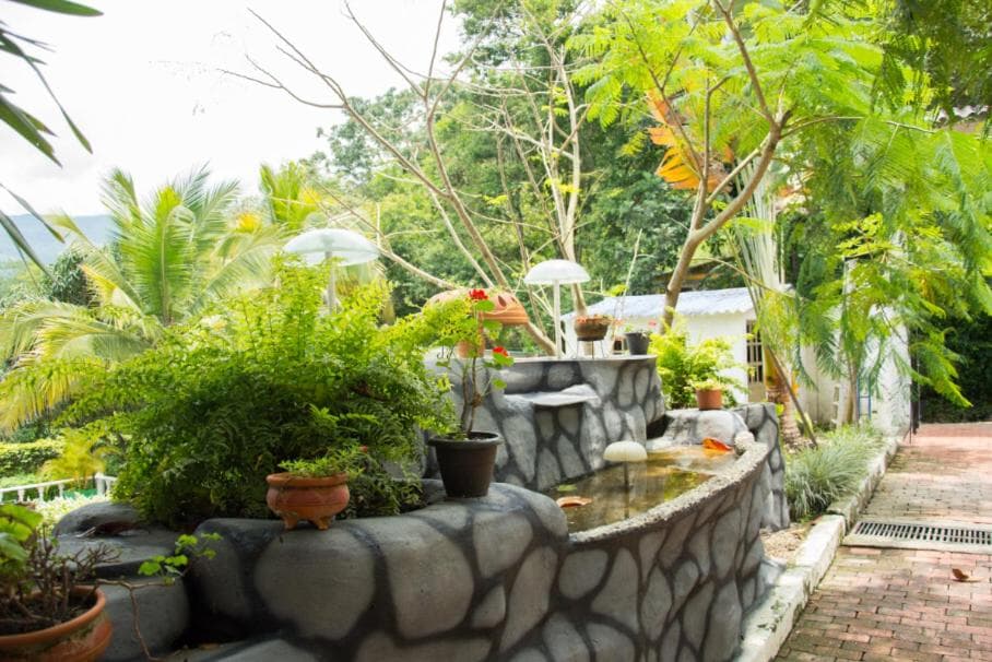 222284252.jpg