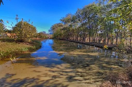 whatsapp image 2025-10-15 at 07.44.25 (46).jpeg