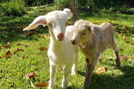 whatsapp image 2025-10-15 at 07.44.25 (1).jpeg