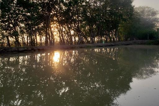 whatsapp image 2025-10-15 at 07.44.25 (3).jpeg