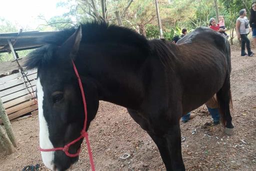 whatsapp image 2025-10-15 at 07.44.25 (48).jpeg