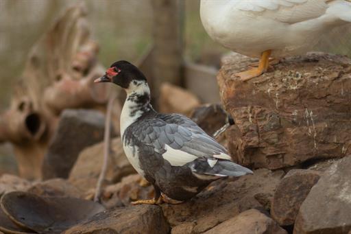 whatsapp image 2025-10-15 at 07.44.25 (21).jpeg