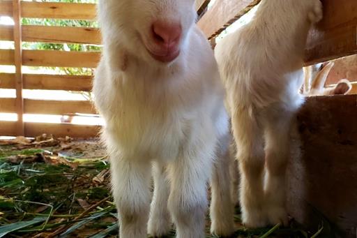 whatsapp image 2025-10-15 at 07.44.25 (2).jpeg