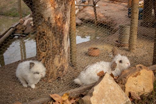 whatsapp image 2025-10-15 at 07.44.25 (20).jpeg