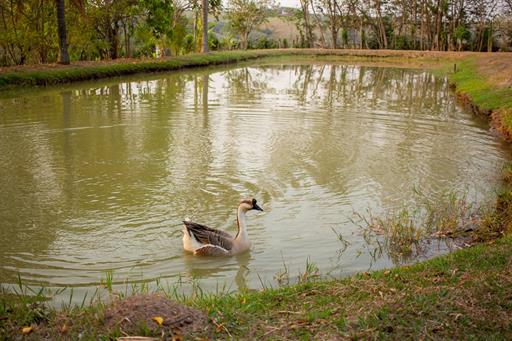 whatsapp image 2025-10-15 at 07.44.25 (16).jpeg